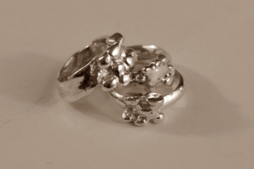 silver-fused-rings